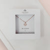 BLOOM FLOWER BOXED ROSE GOLD NECKLACE