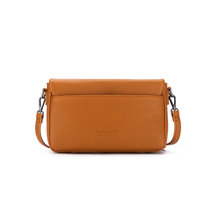 Celine Tan Crossbody Messenger Bag