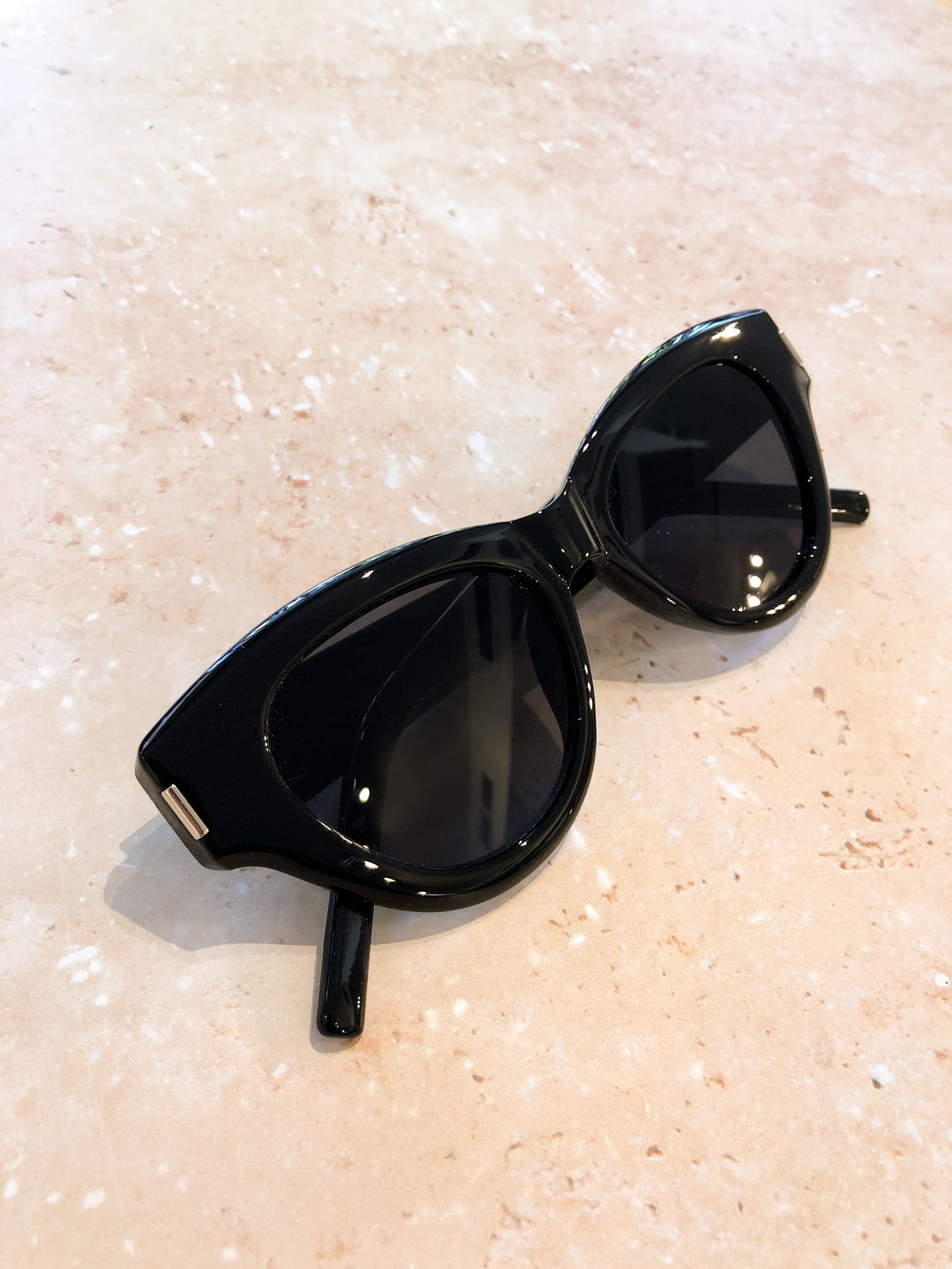 Ray Sunglasses in Black